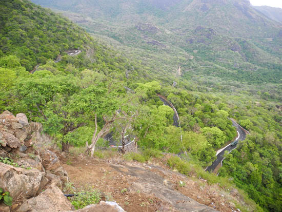 Чайная фабрика Waterfall