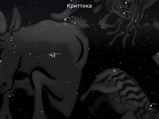 Криттика Криттика
