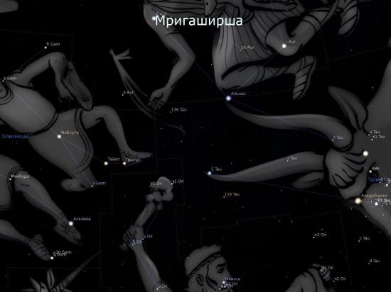 Мригаширша Мригаширша