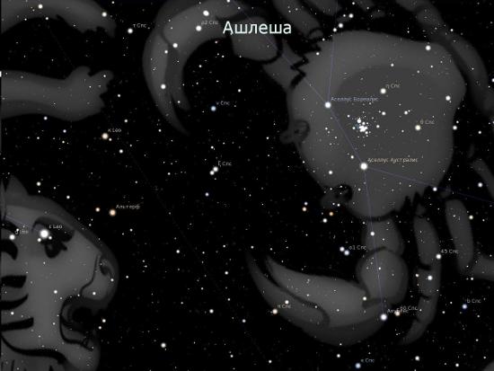 Ашлеша